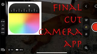 Final Cut Camera App Review [upl. by Millian652]