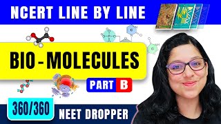 Biomolecules  Proteins And Amino Acid  Biology Class 11  NEET 2024  2025 [upl. by Nnaeitak]