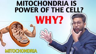 Why Mitochondria Is Known as Power House of Cell   Science ka Funda Video Series  JR Talks [upl. by Arahsat]