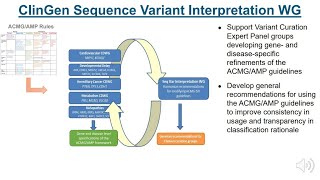 QampA  Variant Classification using ACMGAMP Guidelines Steven Harrison [upl. by Fransis]