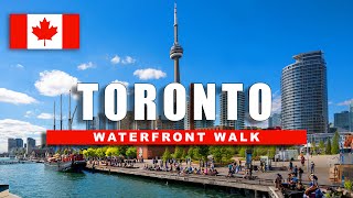 LIVE Stunning Summer in Toronto 4K HD Walking Tour of Downtown amp Waterfront  60fps Adventure [upl. by Akinorev]