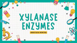 Descriptive Text What’s Xylanase Enzymes [upl. by Lida]