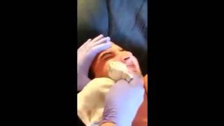 Cyst on face pimple 2014 [upl. by Aisya]