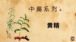 黄精  补虚药 [upl. by Caesar]