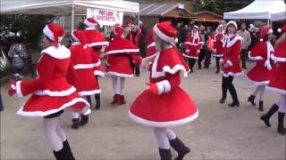 ALVIN WALTZ Line dance  Marché de Noël 2016 MARNAZ [upl. by Ahsinert]