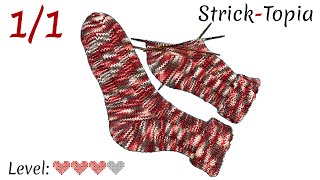 Einfache Socken im 6er Rippenmuster stricken leicht gemacht  Gesamt [upl. by Feilak]