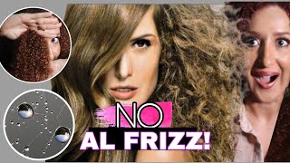 ¿Cómo CONTROLAR EL FRIZZ del CABELLO 🦁 REMEDIOS CASEROS ¿Shampoo o Tratamiento ANTI FRIZZ [upl. by Aleciram]