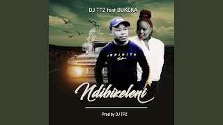 Ndibizeleni feat Bukeka [upl. by Chil57]