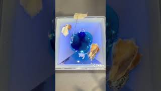 Resin pyramid anniversary giftshortvideo resinart [upl. by Scharff597]