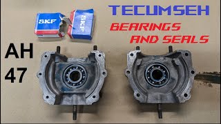 AH47 Replace Bearings and Oil Seals  Sears Chainsaw Restore [upl. by Yornek]