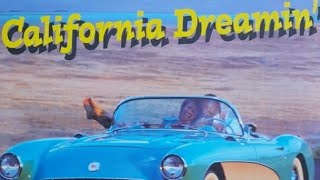 CALIFORNIA DREAMING MAMASampPAPAS DACIA LOGANampJOGGERHEERLIJKE MUZIEKANTEN AUTO🎤COV1ste2de stem [upl. by Filipe941]