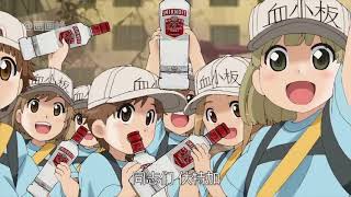 Attack of Platelets  Hataraku SaibouCells at work [upl. by Alvita910]