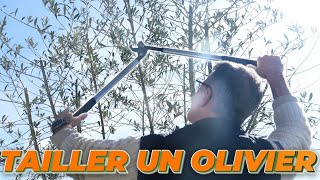 COMMENT TAILLER VOTRE OLIVIER [upl. by Reave]