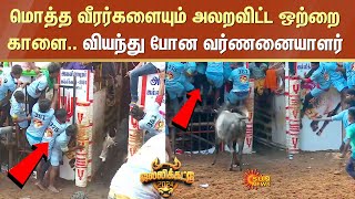 Avaniyapuram Jallikattu  மொத்த வீரர்களையும் அலறவிட்ட ஒற்றை காளை வியந்து போன வர்ணனையாளர் Sun News [upl. by Lewls]