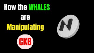 CKB How the Whales are Manipulating NERVOS NETWORK ckb [upl. by Kappel]