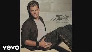 Ricky Martin  Asignatura Pendiente Audio [upl. by Eynenihc]