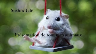 Présentation de mes animaux  les boules vont apparaitre sur la chaine [upl. by Herbst]