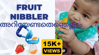 Fruit nibbler ഏതു പ്രായത്തിൽ കൊടുക്കാം Detailed video babyessential [upl. by Anaynek]