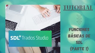 Tutorial SDL Trados Studio ¿Cómo crear una base de datos terminológica [upl. by Navis673]