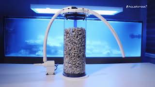 How to set up a marine aquarium with Aquaforest  EPISODE 2 [upl. by Ahsikel]