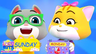 Days of the Week  Learning Video And Kids Song by Loco Nuts Nursery Rhymes [upl. by Samantha]