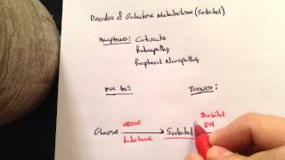 Disorders of Galactose metabolism sorbitol [upl. by Felike380]