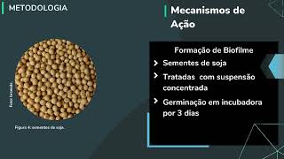 Mecanismos de ação de Bacillus amyloliquefaciens cepa BaNCT02 no controle de Meloidogyne incognita [upl. by Vaios]