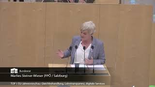 Marlies SteinerWieser  Arbeitsprogramm der EUKommission für 2022 Gleichbehandlung  932022 [upl. by Adah]