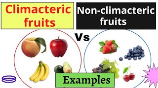 Climacteric Fruits vs Non climacteric me हिंदी में [upl. by Xonel]