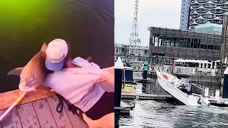 Boat Fails and Wins  Best of The Week  Part 285 [upl. by Rollins]