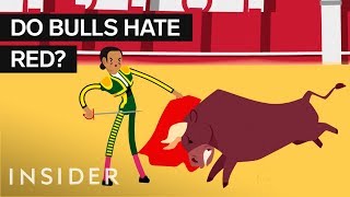 Why Bullfighter Capes Are Red [upl. by Tommi]