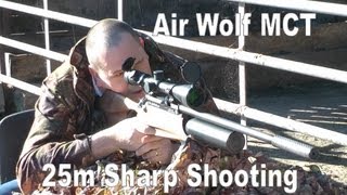 AIR RIFLE  25m Daystate Airwolf MCT Air Gun 177 [upl. by Kimbell790]