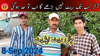 Jaal Rate Update  Lalukhet Birds Market  8Sep2024  Birds  Birds New Rate [upl. by Mishaan776]