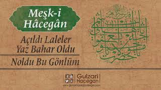 Açıldı Laleler Yaz Bahar Oldu  Noldu Bu Gönlüm  Meşki Hâcegân Yakub Haşimi Hocaefendi ksa [upl. by Ecienal]