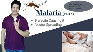 Malaria  Parasite causing infection and Vector Mosquito Female Anopheles Malaria Part 1 [upl. by Ahsemat414]