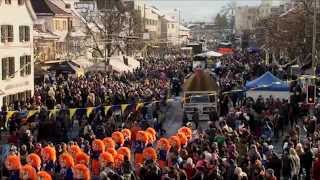 Fasnacht Reinach 2013 [upl. by Redliw480]