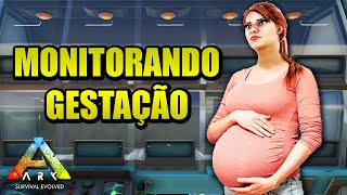 COMO MONITORAR A GESTAÇÃOGRAVIDEZ DOS DINOS COM A INCUBADORA  ARK SURVIVAL EVOLVED [upl. by Ruthann]