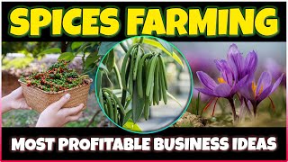 Most Profitable Spices to Grow  Best Spice Farming Businesses [upl. by Khalid]