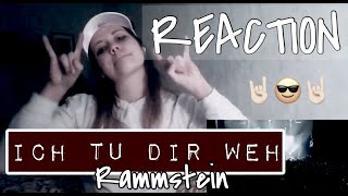 RAMMSTEIN  ICH TU DIR WEH  Live From Madison Square Garden  REACTION [upl. by Eads773]