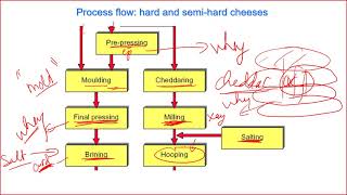 C706b cheese processing procedure Dairy technology [upl. by Bonnice]