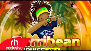 REGGAE MIX 2020 HOT REGGAE SONGS MIX CARIBBEAN CRUISE  TAEGA TEE  RH EXCLUSIVE [upl. by Martijn]