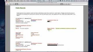 Consumer Credit  Experian Credit Report WalkThru [upl. by Iddet374]