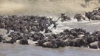 Big Mara River crossing at crossing point 1 [upl. by Cohn]