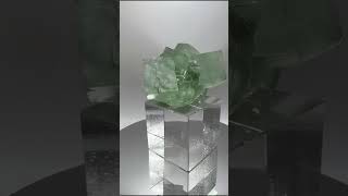 Fluorite  Xianghuapu Mine Hunan China [upl. by Ahtikal]