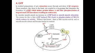 Pharmacological action of sympathomimetics [upl. by Emersen]