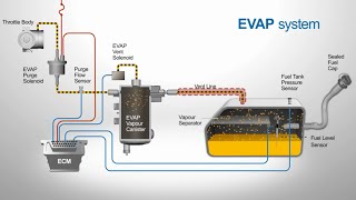 Vented Evaporative Systems [upl. by Lapham295]