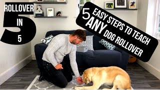 quotROLLOVERquot How to teach Rollover 5 EASY Steps [upl. by Keelin624]