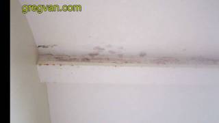 Mold on Bathroom Ceiling from Roofing Damage [upl. by Abshier]