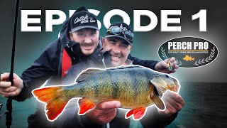 PERCH PRO 8  Episode 1 [upl. by Itsuj748]