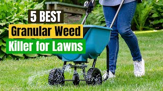 Best Granular Weed Killer for Lawns Guide amp Reviews [upl. by Nnaerb]